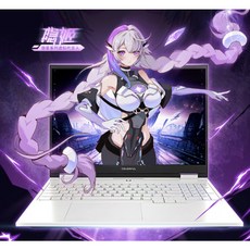 七彩虹 隱星P16 Pro / G16 Pro RTX 5080 5070 320hz, 1個, G16pro 14900+5080