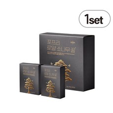 포프리 로얄 소나무꿀 스틱 선물세트, 30개, 12g