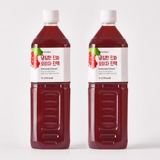 이제부터 냉침한 진짜 오미자 진액, 1L, 1개입, 2개