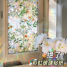 彩虹窗戶玻璃貼紙 防走光 磨砂貼膜 衛生間防窺隱私貼, 推荐-升级加厚花鸟枝蔓防窥款*遇光见彩虹,宽49*长200【厘米】可重复使用