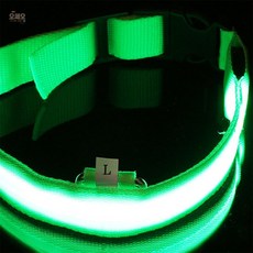 오쎄오라이브 LED 반려견 강아지 목줄L 애견목줄