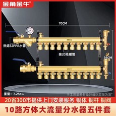 온수분배기 바닥난방물분배 유량분리기 보일러분배기, R. 10구 입방체 대유량 동 분배기 5개 세트