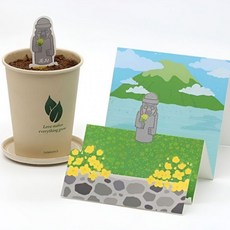 하르방 허브 꽃 식물 씨앗 키우기 카드 선물 11종, 스위트바질