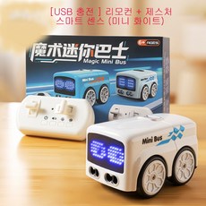 5가지 기능 제스쳐 감지 따라가는 원격조정 RC카 장난감, D - USB충전 리모콘 + 동작 감지 센서, 1개