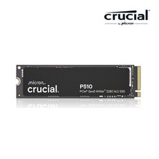 마이크론 Crucial P510 2TB M2 2280 NVMe SSD 대원씨티에스 TLC, _CT2000P510SSD8