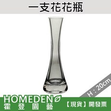 HOMEDENO 霍登園藝 簡約玻璃花瓶, 小：口徑3×高20cm