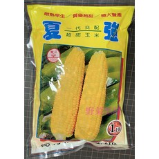 夏強 超甜玉米種子 耐熱早生 質優超甜 穗大豐產 1磅, 1包