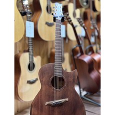 Gomans F-S12FC 全單板木吉他，音色共鳴絕佳，手感舒適，適合各程度吉他愛好者, 1個