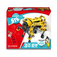 다흰 역동적인 경주로봇 레이싱