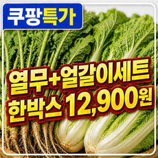 싱싱한 국내산 열무 얼갈이 혼합세트 김치용 채소 산지직송 1kg 2kg 3kg 4kg, 1박스, 열무 1kg + 얼갈이 1kg