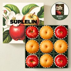 수플린 [SUPLELIN ART GIFT] 프리미엄 고당도 꿀사과4입 신고배5입 과일선물세트 (총 3.8KG이상), 수플린 [SUPLELIN ART GIFT] 프리미엄 고