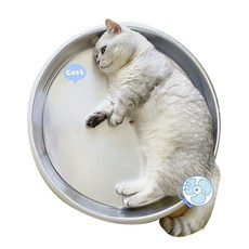 【開發票/統編】【開發票/統編】貓咪夏季鋁盆涼鍋 貓窩 寵物散熱墊 鋁合金涼感 貓咪睡覺降溫神器, 1個, 鋁制涼窩直徑36cm 【建議4斤內】