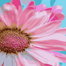 루체트리 유화그리기 DIY 그림그리기 세트 유화페인팅 40x50 코스모스 하모니아트 캔버스