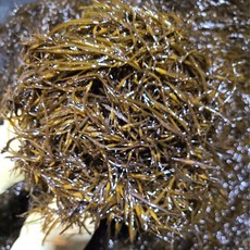 산지직송 생 톳 200g 1kg 2kg 4kg 8kg 10kg, 생톳 4kg, 1개