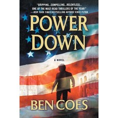 (영문도서) Power Down Paperback, St. Martins Press-3PL, English, 9781250363268