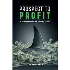 (영문도서) Prospect to Profit A salespersons step by step guide Paperback, Spines, English, 9798896911678