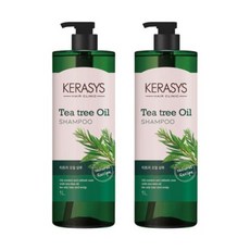 약산성 케라시스 티트리오일 샴푸 두피건강케어, 1L, 2개