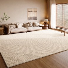 물세탁 거실 카페트 방수 카페트 파스텔 사계절 소프트 러그 검은색 분말 낙하 없음 먼지없는