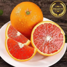 카라카라 오렌지 초고당도 상큼달콤 대과, 1박스, 대과 20입