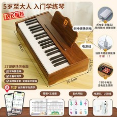 미니 피아노 25건 2옥타브 연습용, 37건반 호두색 (블루투스)