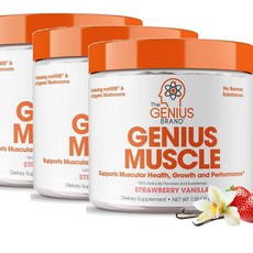 더 지니어스 머슬 빌더 매스 게이너 스트로베리 바닐라맛 The Genius Brand Muscle, 3개
