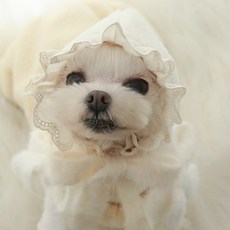 러블리보넷 강아지모자 강아지옷, 크림, 1개