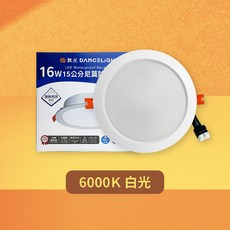 舞光 DANCELIGHT 16W LED 防水嵌燈 6000K 白光 15cm 嵌孔 IP66, 1個