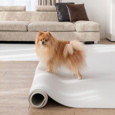 이리로 반려동물 실리폼매트 강아지매트 논슬립 방수 방오, 1개, 코지 아이보리