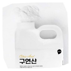KT 구연산 500g 찌든때세제, 1개