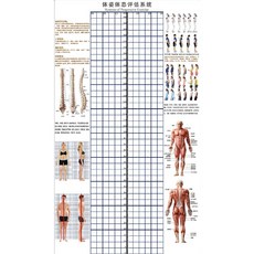 체형 분석 롤스크린 분석표 측정 격자 스크린 분석판