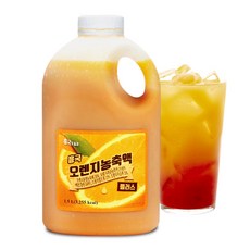 흥국 에프엔비 오렌지 농축액 1.5L, 1개