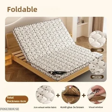 렌탈 하우스를위한 새로운 천연 코코넛 야자 매트리스 경화 쿠션 허리 보호 침실 용 현대 간단한, [01] 80x190cm, 01 pattern 6cm thick