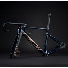 TRIGON AR01 碟煞公路車架，輕量化碳纖維、空力設計, 1個, Racing-Green,車架組標配