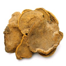 건조 상황버섯 250g 중국산, 1개