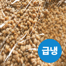 [미더덕마을]창원진동 오만둥이(급냉), 1개, 10kg