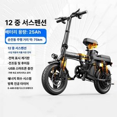 maxtiger 전기오토바이 전동스쿠터 전기자전거, 플래그십 - 12 25A 75km 스마트 미터