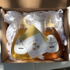꿀한입 국내산 천연벌꿀 야생화 아카시아 꿀 선물 세트, 2개, 500g