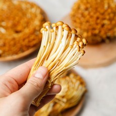 황금팽이버섯 갈색팽이버섯 200g 4팩, 황금팽이버섯 2kg(200g 10팩), 4개