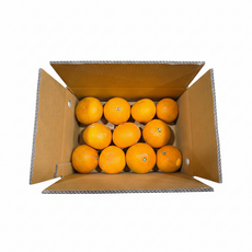 제주 청견 제철 고당도 감귤 오렌지, 1박스, 청견(중소과) 1.5kg