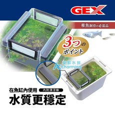 GEX 幼魚隔離培育養殖盒, 1個, GEX 五味 幼魚隔離培育養殖盒