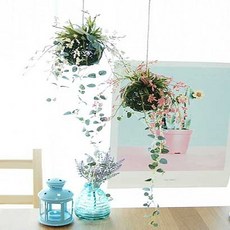_FFF 볼에 엮어서 하나씩, 핑크, 핑크