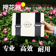 DIY押花板押花器植物標本製作工具套裝，手工自製乾燥花材料包，快速乾燥板，親子手工藝, 1個, A5體驗版（限時）,乾花包