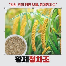 황제청차조 특상품청차조.영양가득청차조.맛과향이 살아있는청차조 생태자연농청자조.무농약청차조., 1개, 500g