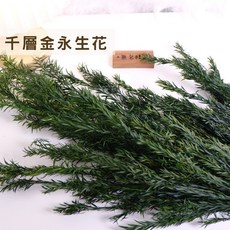 千層金永生花 花藝材料 不凋花 乾燥花束素材