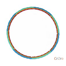 스타 S로즈 훌라후프 2.1 홈트레이닝 다이어트 복부 운동 밸리댄스 허리 1개입