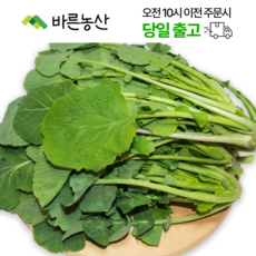 < 바른농산 > 국내산 유채나물 동초나물, 1개, 2kg