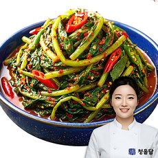 [청올담] 국산100% 전라도 전통양념 열무김치, 1개, 3kg