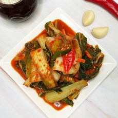 건채담 명품얼갈이김치 1kg, 1개