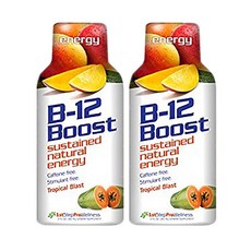 HIGH PERFORMANCE FITNESS B-12 提升持續的自然能量, 30ml, 2瓶