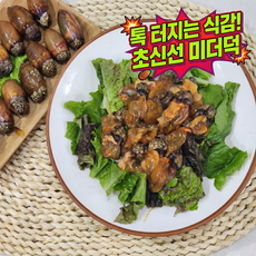 [싱싱보장] 유튜브 난리난 핫한 미더덕 통통한 식감 해물요리 필수, 1개, 2kg